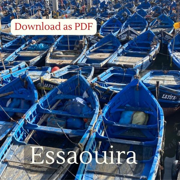 Inspirational Guide to Essaouira